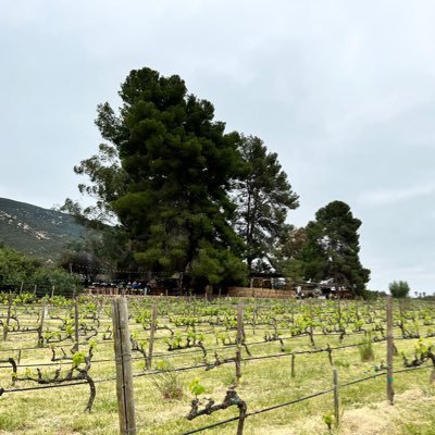 Salvemos el Valle de Guadalupe