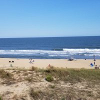 Molly Pitcher (@mollypi53234624) 's Twitter Profile