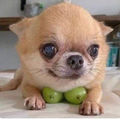 baconbitsjmk's profile picture. 