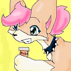 pudding🍮さんのプロフィール画像