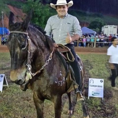 Sou pecuarista e também trabalho com transporte!