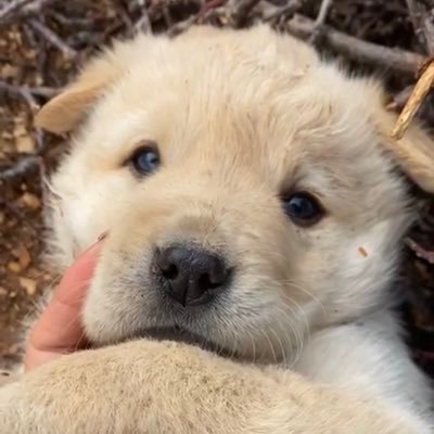 somesadandbad's profile picture. 