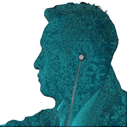 risutame's profile picture. Aprendiz de todo, maestro de nada.