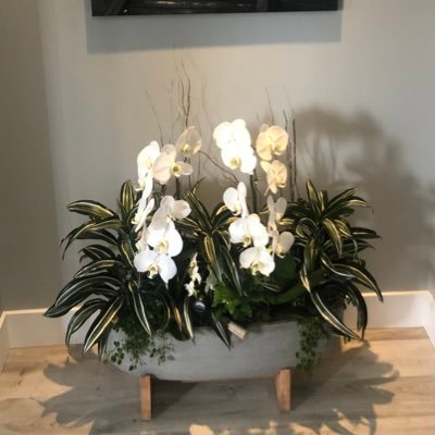 Lmcarroll1529's profile picture. 