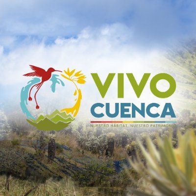Vivo_Cuenca Profile Picture