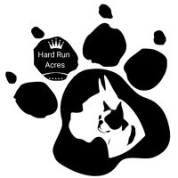 Hard Run Acres(@HardRunAcresFL) 's Twitter Profile Photo