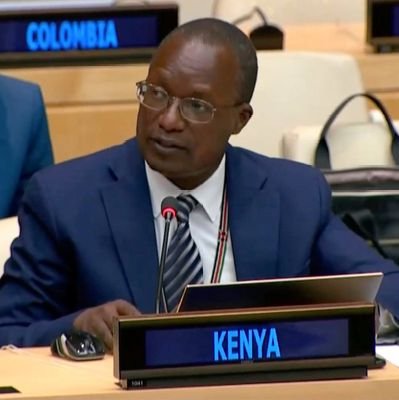 Deputy Permanent Representative of KENYA to the United Nations - New York