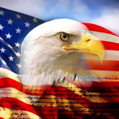 Living life & enjoying it my way! #MAGA #Trump #Conservative. 🚫Crypto 🚫porn
