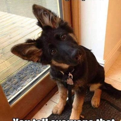 Brian17764u's profile picture. I'm kind of short.