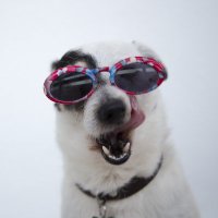 Retired (@retired6270) 's Twitter Profile