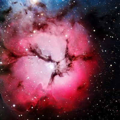 PipeCleaner_MD's profile picture. Love being a surgeon, but can’t wait to retire on $ASTS, $IONQ, $RKLB & $QS HODLINGS.