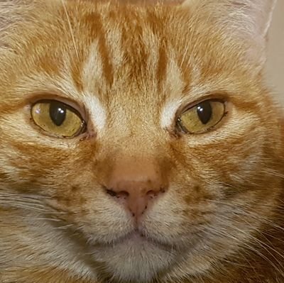 Annie34713460's profile picture. 