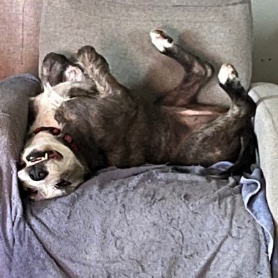 bcul2124's profile picture. Not bothered by words