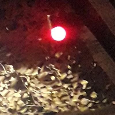 Fede006_'s profile picture. ALT