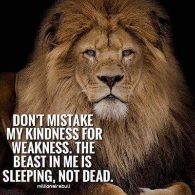 ToddIsdum's profile picture. I'm not a scientist by any means but I did stay at a Holiday Inn Express!