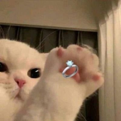 ヾ♫ ~♪ ✿