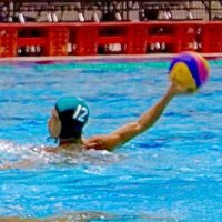YUSUKE (@yusuke_wp12) 's Twitter Profile