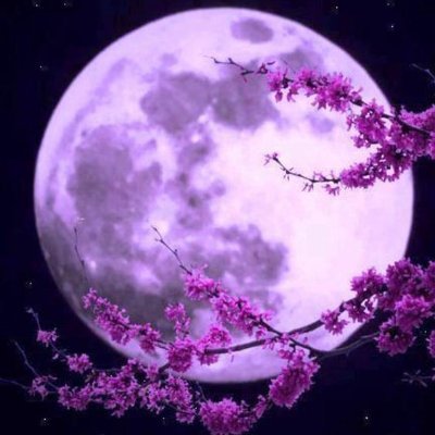 「かなみ」と読みます。成人済
スマホで今まで撮ってきた、好きなもの(夜景、植物、食べ物etc…)を気ままに載せていきます。SNSも撮影技術も素人ですが、ご了承下さい🙇♀️