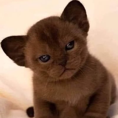 ta3620's profile picture. 