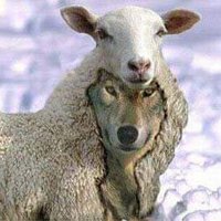 David Swihart (@davidbswihart) 's Twitter Profile Photo David Swihart (@davidbswihart) 's Twitter Profile Photo