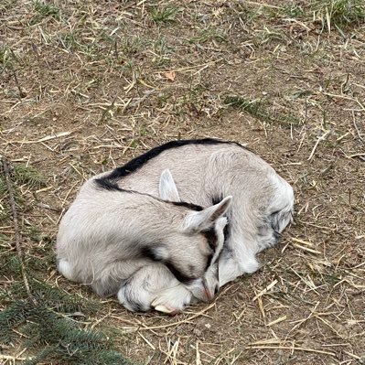 Kam12283's profile picture. 