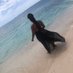 Khadera 🇯🇲 (@dera_kitten) Twitter profile photo Khadera 🇯🇲 (@dera_kitten) Twitter profile photo