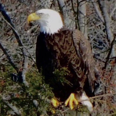 Peace. Love. Don’t tread on me!                                                                                                      No DM