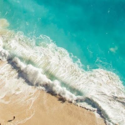 SiobhanKaminski's profile picture. 