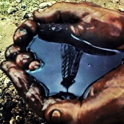 JaimeJCavazos12's profile picture. 