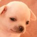I love Fallout New Vegas (@newvegasyoooo) Twitter profile photo I love Fallout New Vegas (@newvegasyoooo) Twitter profile photo