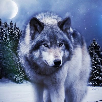 DeniseB72368034's profile picture. 