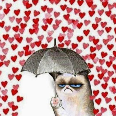 Machine221305's profile picture. 