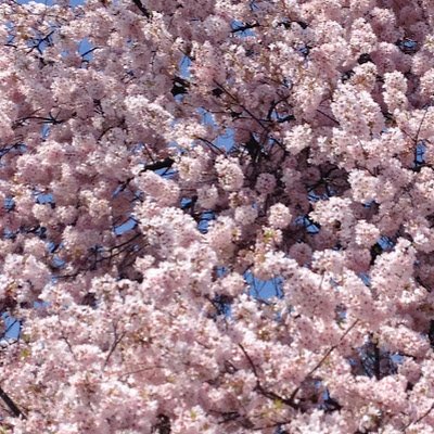 lori_kader's profile picture. 