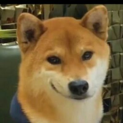 pagalbilla2006's profile picture. 