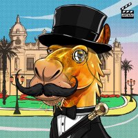 Arabian Camels (@arabiancamels) Twitter profile photo