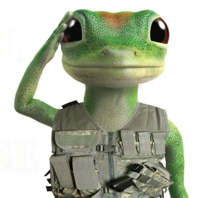 TacticalGecko's profile picture. 