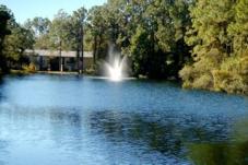 Turtle Lake Apartment Homes! We are hidden among 23 gorgeous acres of naturally landscaped lakeside seclusion.