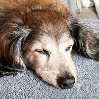 Frammosco (@frammosco110) 's Twitter Profile