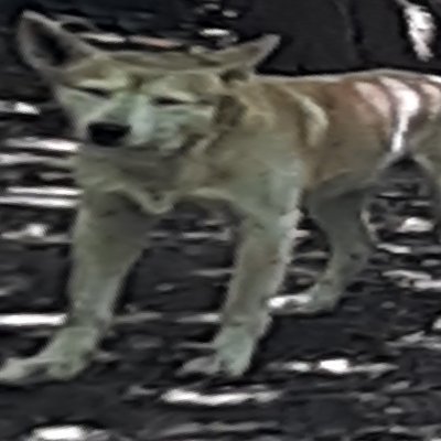 Alexさんのプロフィール画像