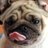 madelonalvarez's profile image