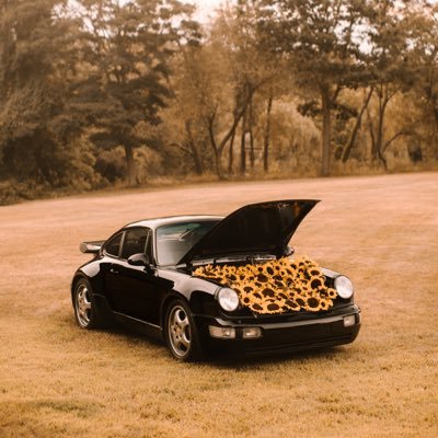 whtkdrb's profile picture. 