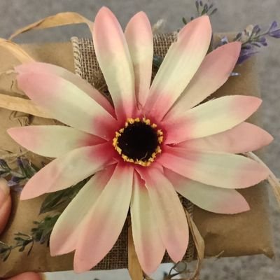 Prosperity_Hope's profile picture. Patriot.