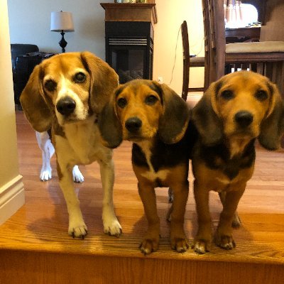 davewporterhot1's profile picture. curious planetary inhabitant .