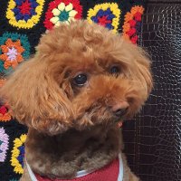콩알이 (@_kingkongr) 's Twitter Profile Photo 콩알이 (@_kingkongr) 's Twitter Profile Photo