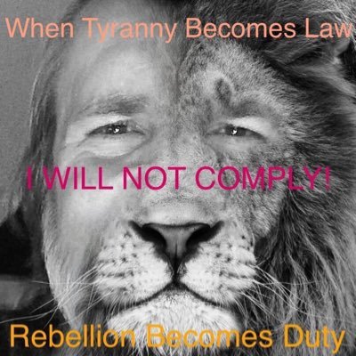 “He who would trade liberty for some temporary security, deserves neither liberty nor security.” Libertaryist. No man has the right to rule over any other man.