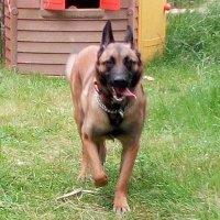 Martin C (@martinc48919569) 's Twitter Profile Photo Martin C (@martinc48919569) 's Twitter Profile Photo