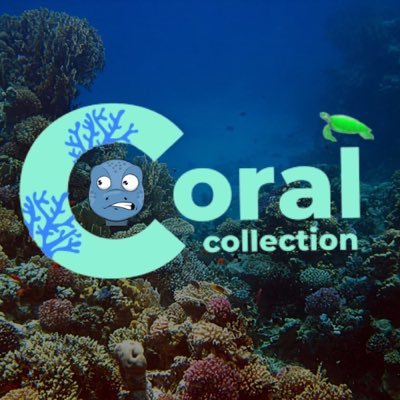 Be a part of a unique NFT collection that will make the change you want to see in the world. Save and preserve the coral reefs!