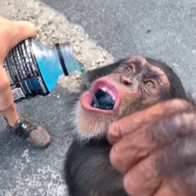 Manisontheropes's profile picture. Get in loser