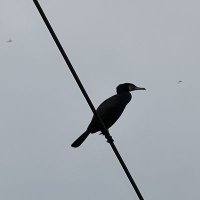 Ben Standeven (@benstan) 's Twitter Profile