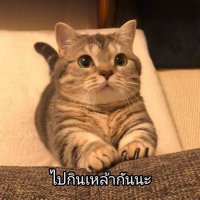 คูมนู๋แมวหมุนๆ หลักแสน สวย รวย เฮง 2023 🎉💵(@na_40099) 's Twitter Profile Photo